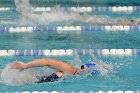 Swimming vs Bentley  Wheaton College Swimming & Diving vs Bentley College. - Photo by Keith Nordstrom : Wheaton, Swimming & Diving